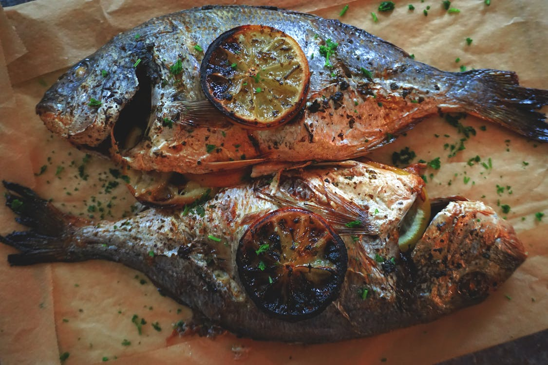 Fish Recipes: How Seafood Is Redefining the Way We Eat Today