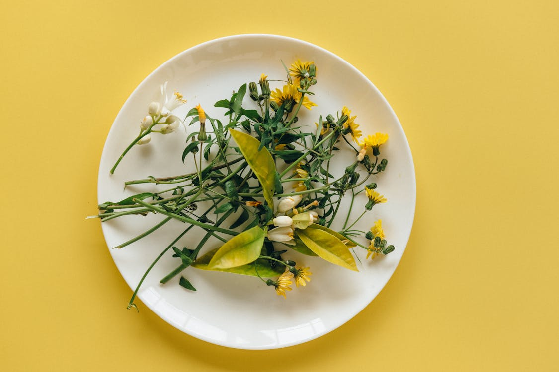 Chicken Recipes Explained : How One Ingredient Became the Smartest Choice in Modern Kitchens