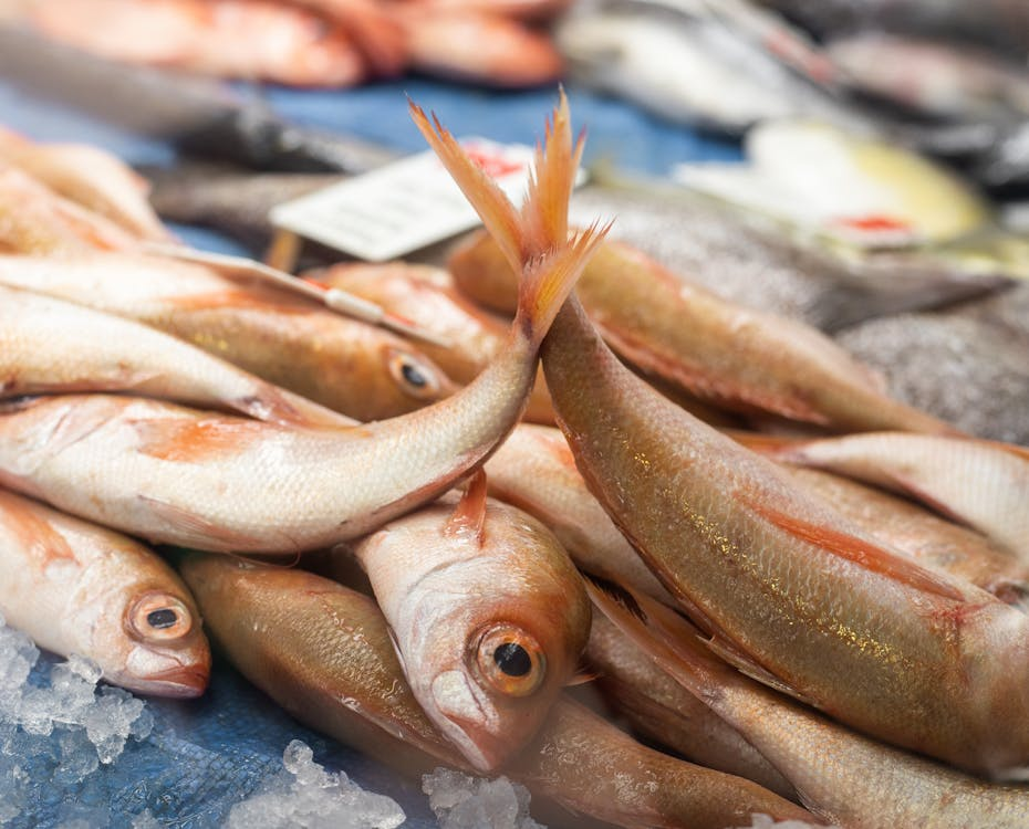 Fish Recipes : How Seafood Is Becoming a Defining Feature of Modern Eating